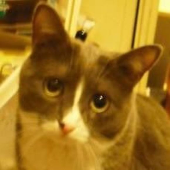 Meet your Posher, Scott - Picture 1 of 1